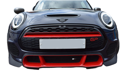 Zunsport MINI GP - Front Grille Set ZBM98019P