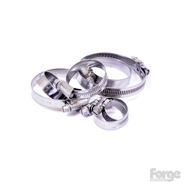 Forge Motorsport Hose Clamp Set for FMR53IND - Mini R53 Cooper S