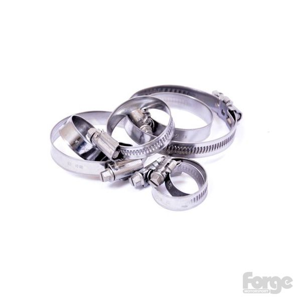 Forge Motorsport Hose Clamp Kit For FMINLR60 - Mini R60 Cooper S/Countryman/All4_1